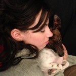 dori and larry sleeping close-up - cute dog - dori's shiny blog