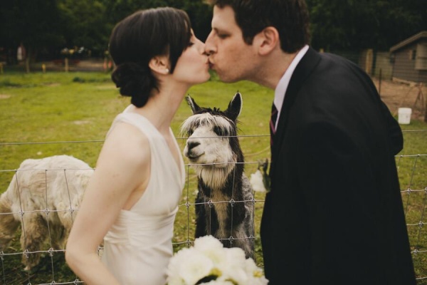 Dori and Andy and Alpaca
